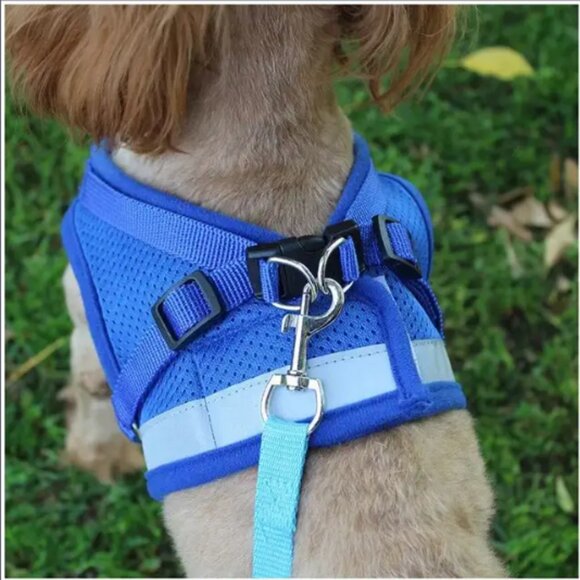 BRAND NEW - BLUE SIZE L - Dog & Cat Adjustable Chest Pet Harness Vest Leash Set - Picture 2 of 7